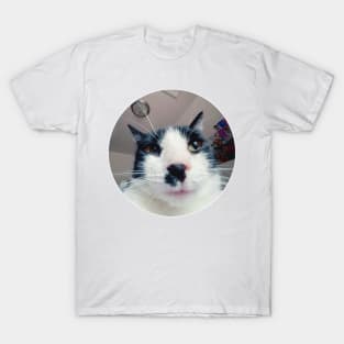 Tuxedo Cat T-Shirt